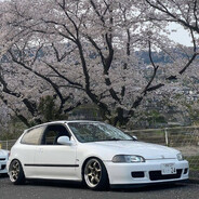 ♤𝓐𝓵♤𝓮𝔁♤