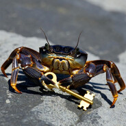 GrumpyCrab66