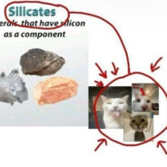 silicates