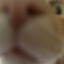 coro