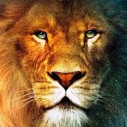 купил акк по дешевке