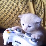 КОПИТАН КРЯ-КРЯ