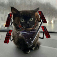 120kg peak | Пузотряс