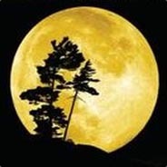 hannebl - steam id 76561197960473746