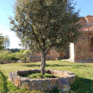 Jaramillo