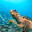 Brytle