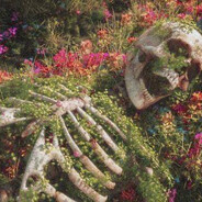 female body inspector