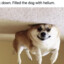 Doggy