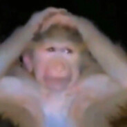 th1mple