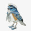 birdz4rent