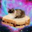 CatSandwich88