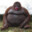DEMONKE
