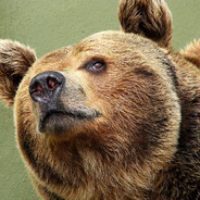 ВЕДМIДЬ
