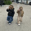 Habitual Midget Tugger