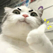 Tal - steam id 76561198884683934