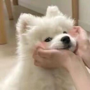 RyronILL.❦☠️☩