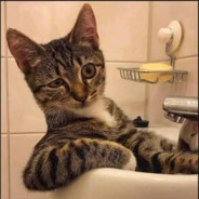 柠檬味海风Sound