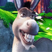Donkey's avatar