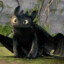 Toothless