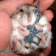 szewski csgo-skins.com