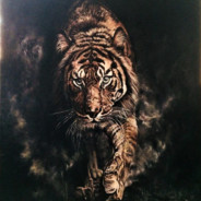 KAPLAN - steam id 76561199028463332