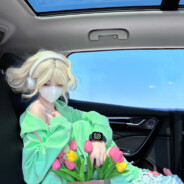 犹似霓裳羽衣舞