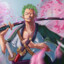 roronova zoro