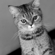 没有小熊背包了