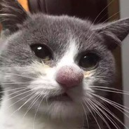 草原一哥喜羊羊