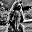 GrumpyBear