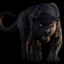 BaGHEeRa.V2