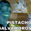 Pistacho Salvamoros