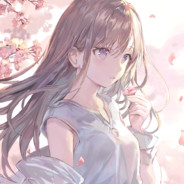 伞兵3号 韩金龙