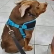 Chorro. **********.com