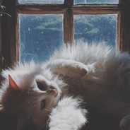 ❀可可醉可耐❀