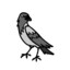ChillCrow