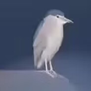 你玩这个游戏有什么目的？