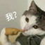 屁屁屁屁屁