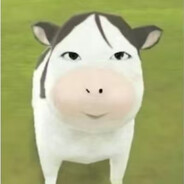 赛博丁真不会遇到电子烟学姐