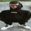 BiGGiMoT
