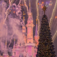 嫁了个村长叫赵大宝