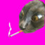 Zhozn_