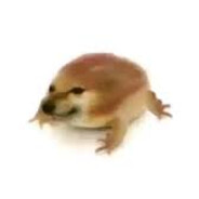 pancake dog