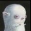 Kornijoe