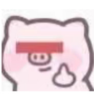 电脑玩家迪雷特