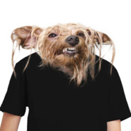 🔥🔥TeVaToR🔥🔥