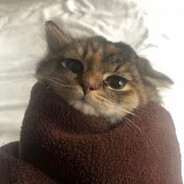 人生何处不青山