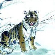 被女神骗光家产