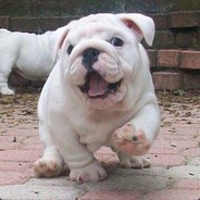 Tchyrley - steam id 76561198183465581