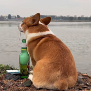 睡在上铺的兄弟